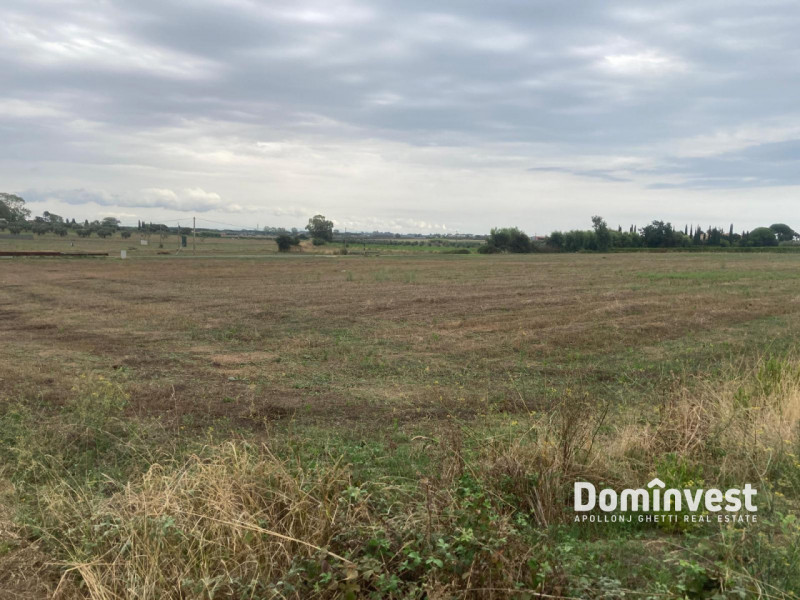 immagine annuncio 3 di 8