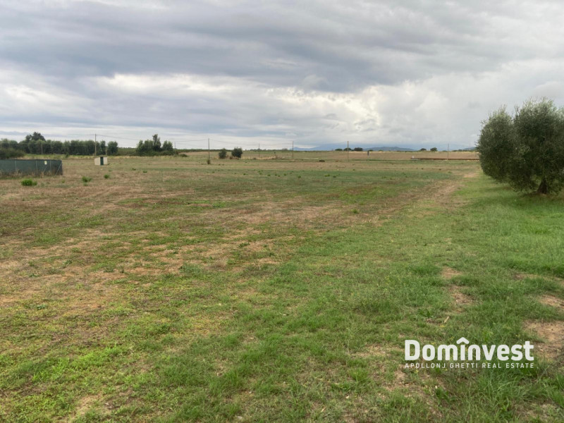 immagine annuncio 6 di 8