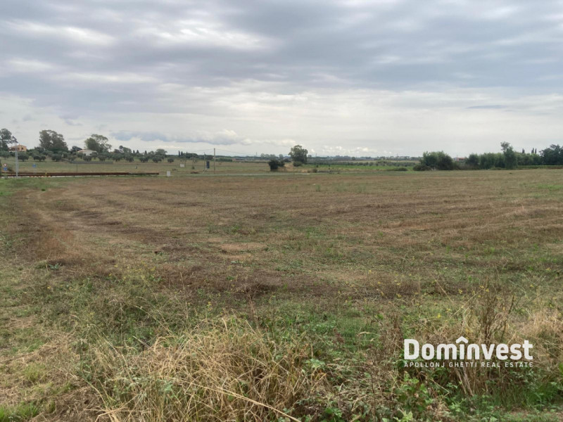 immagine annuncio 2 di 8