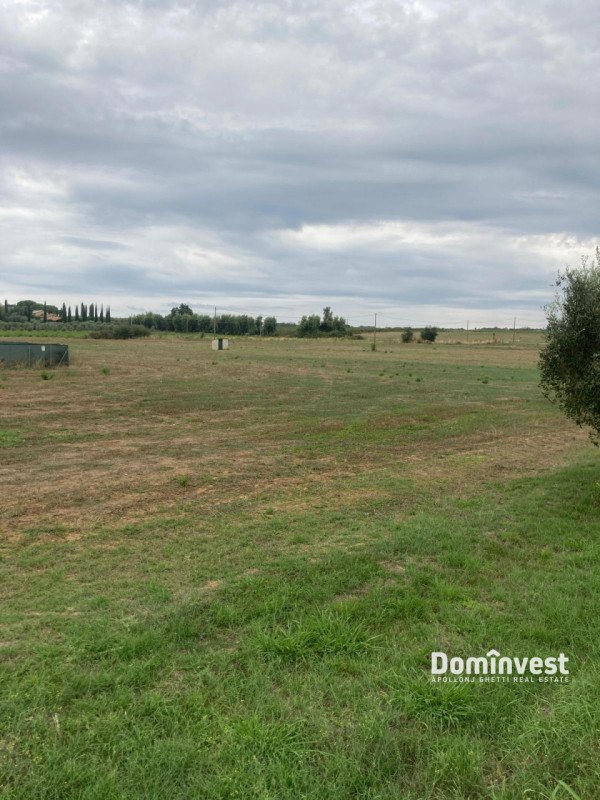 immagine annuncio 5 di 8