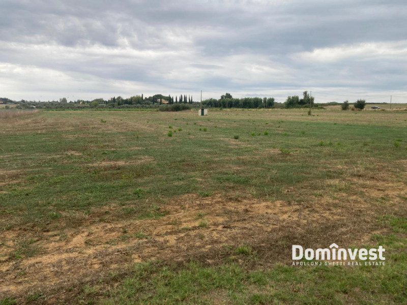 immagine annuncio 4 di 8