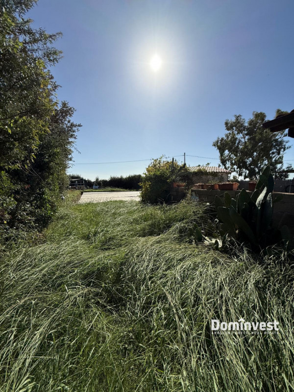 immagine annuncio 6 di 7