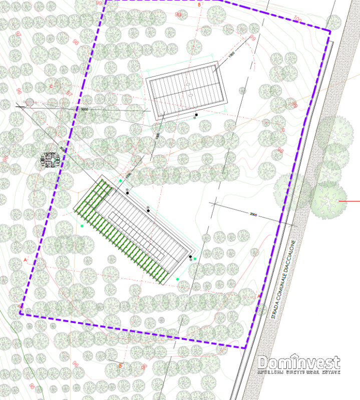 immagine annuncio 1 di 8