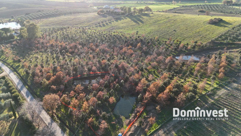 immagine annuncio 4 di 8