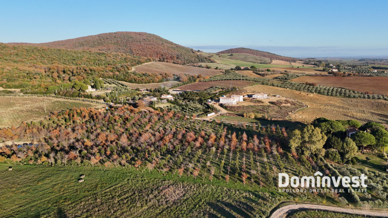 immagine annuncio 5 di 8