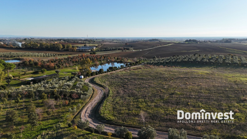 immagine annuncio 6 di 8