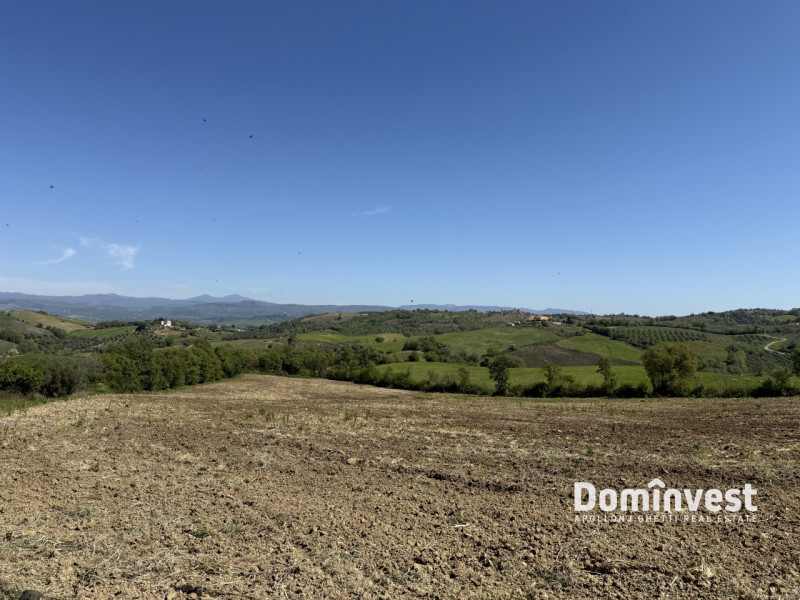 immagine annuncio 5 di 8