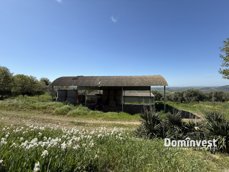 immagine annuncio 7 di 8