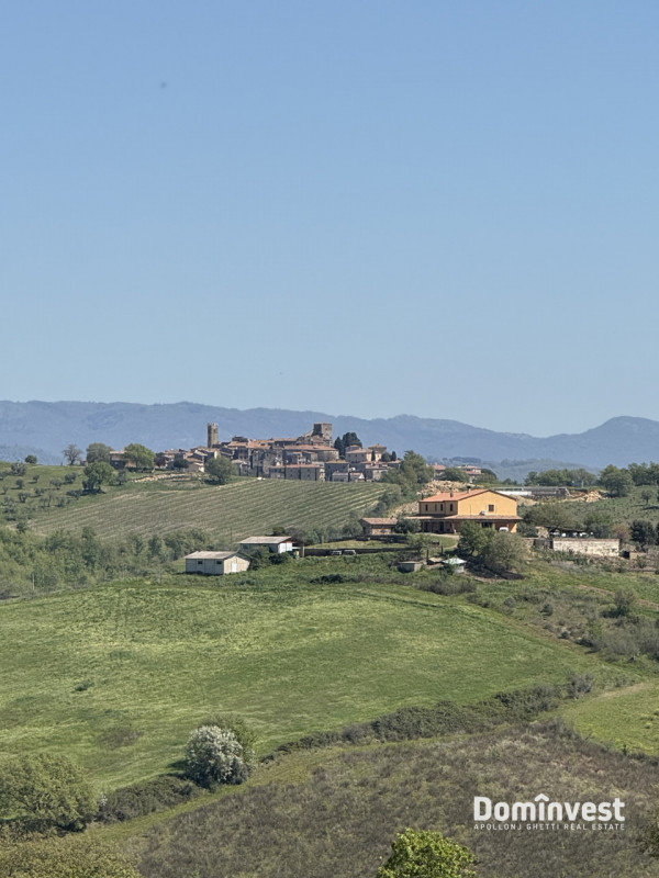 immagine annuncio 3 di 8