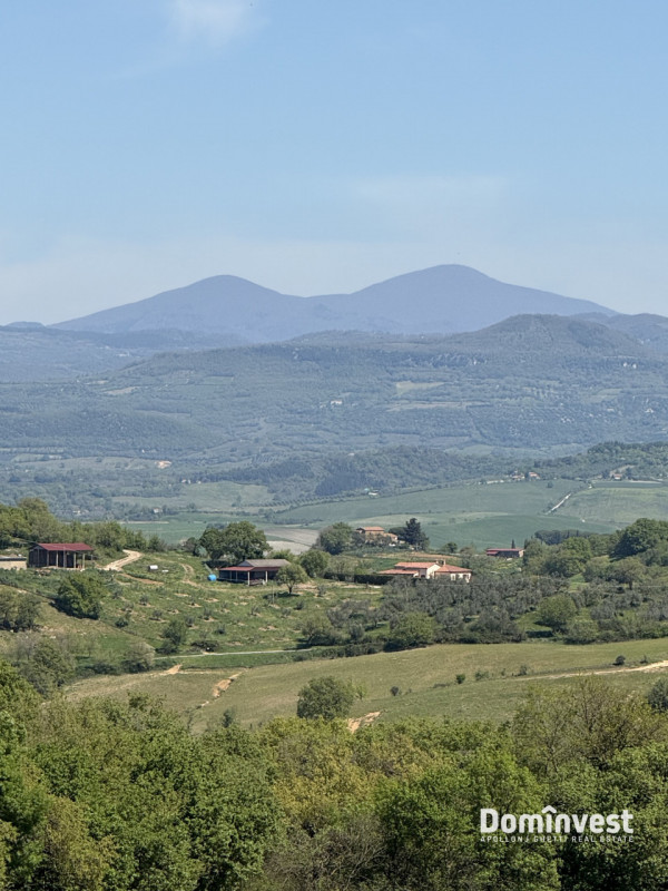 immagine annuncio 6 di 8