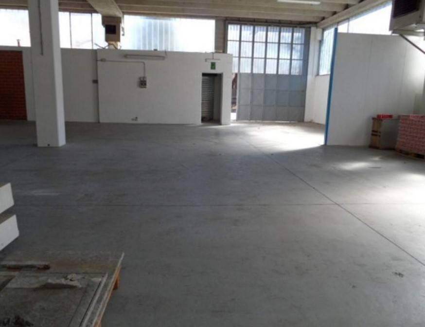 immagine annuncio 2 di 8