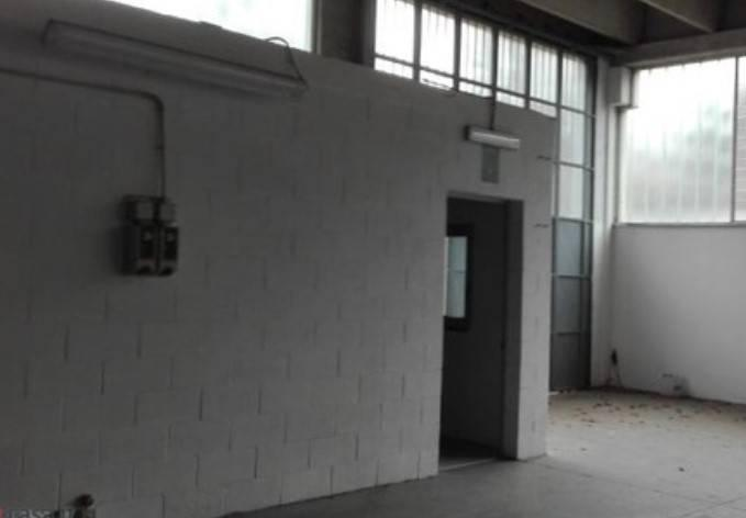 immagine annuncio 5 di 8