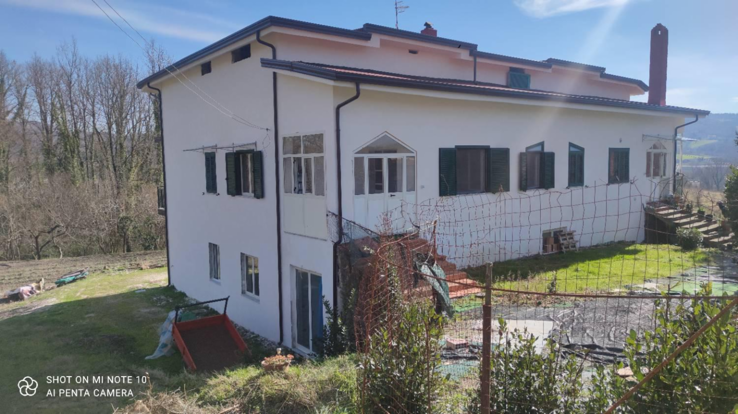 immagine annuncio 3 di 10