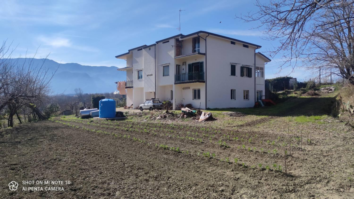 immagine annuncio 4 di 10