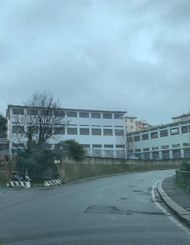 immagine annuncio 1 di 2