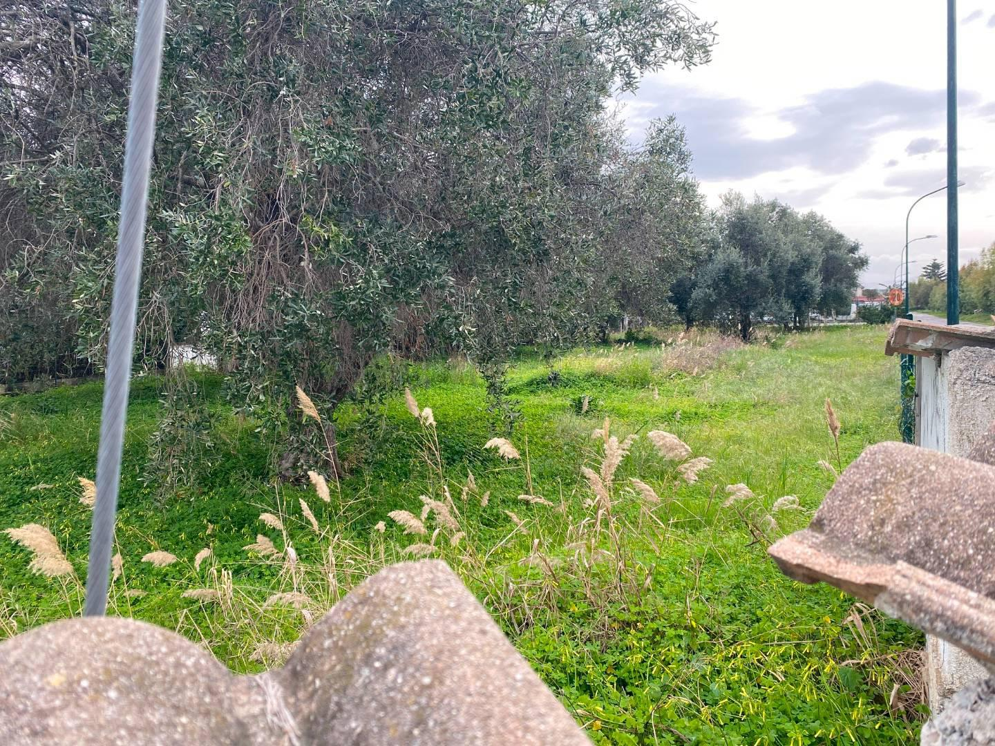 immagine annuncio 7 di 9
