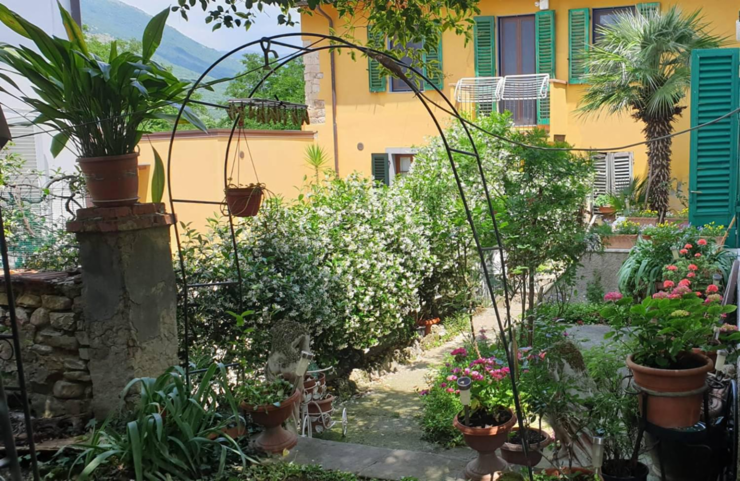 immagine annuncio 1 di 7