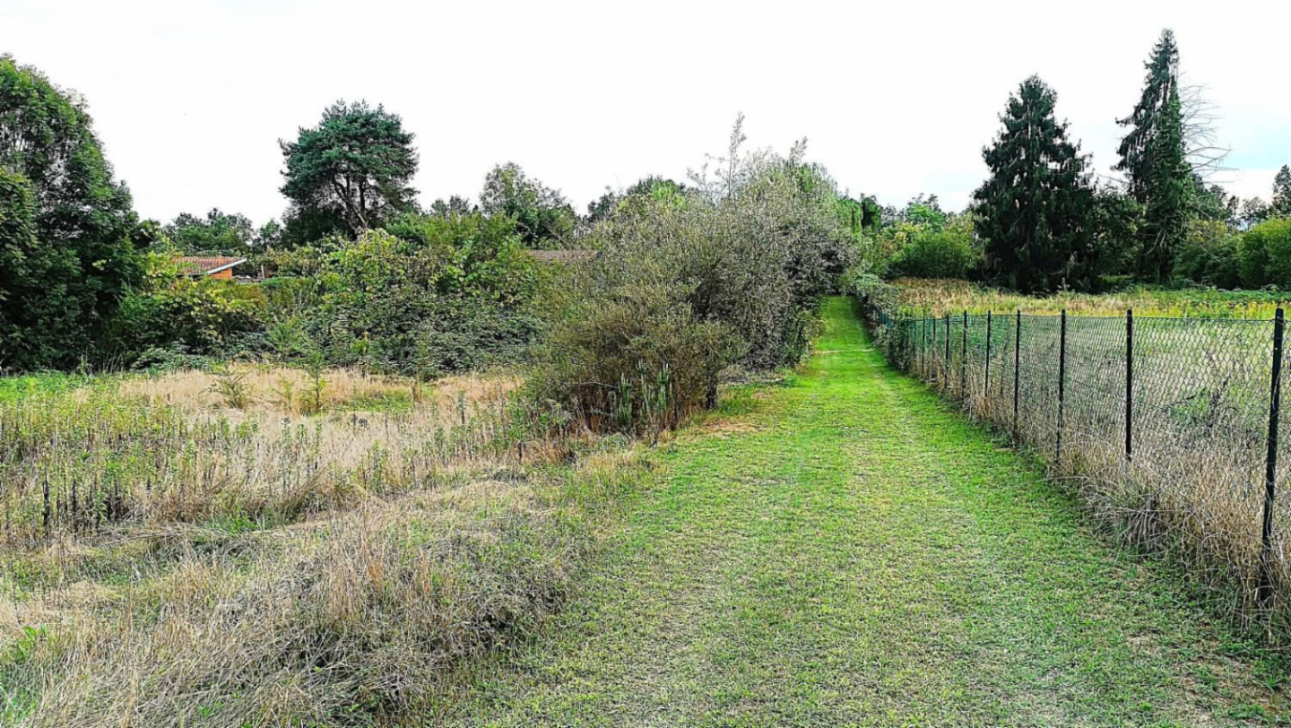 immagine annuncio 4 di 10