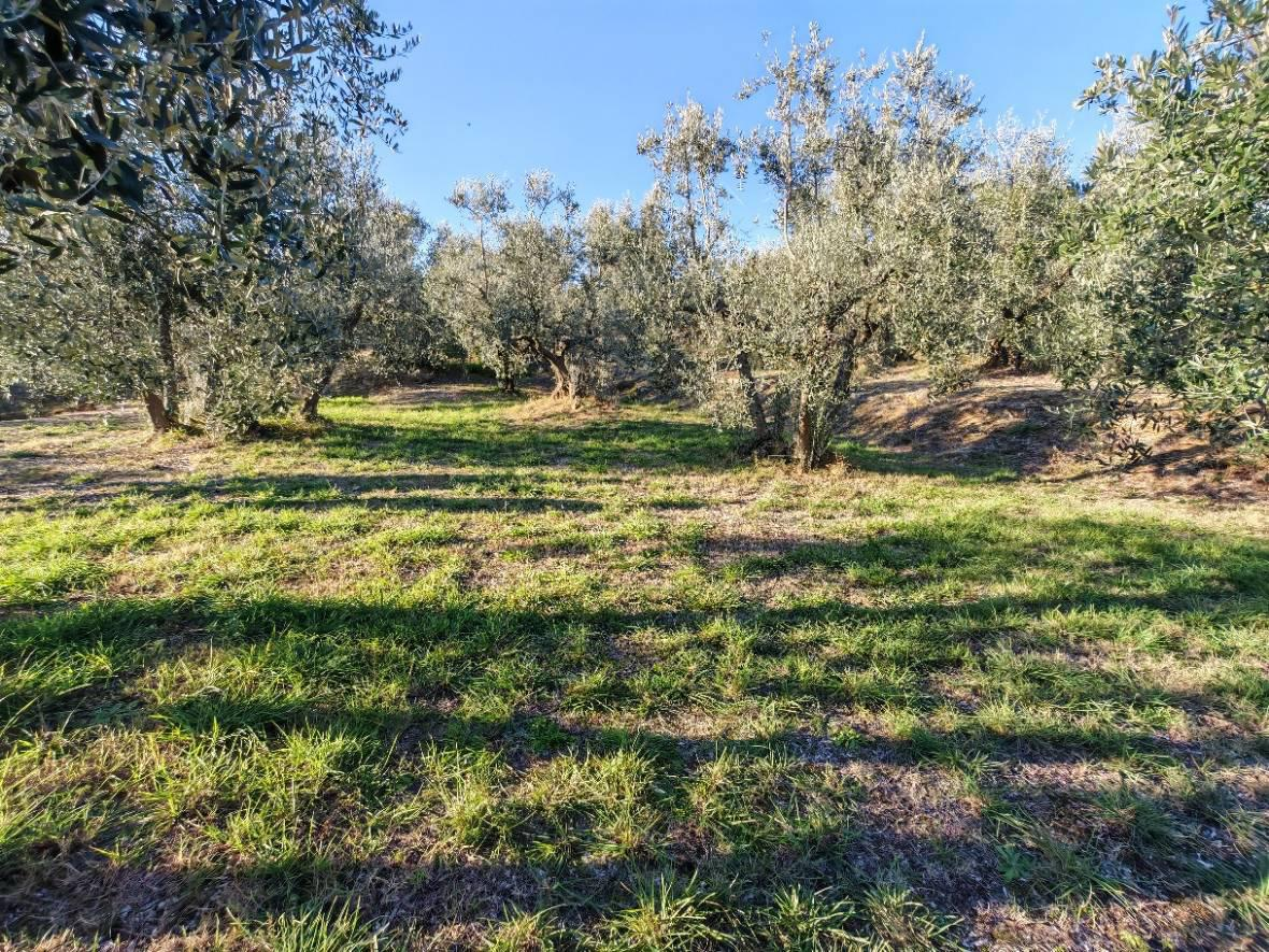 casa indipendente in vendita a Lucignano