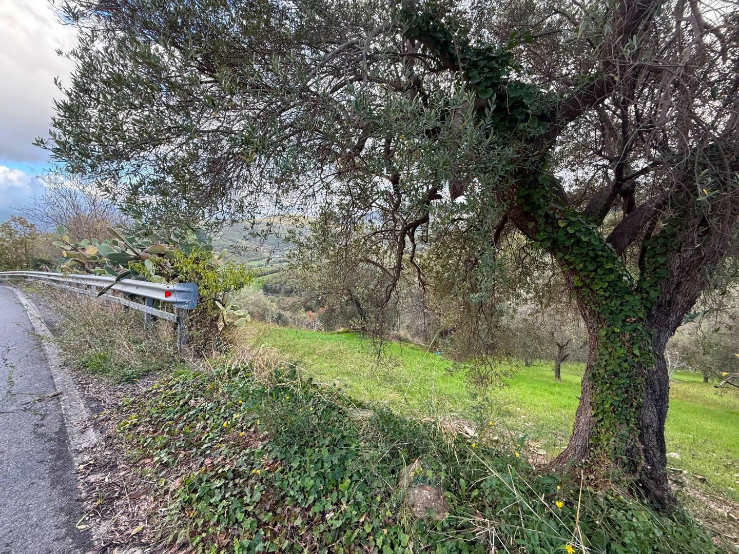 immagine annuncio 5 di 7