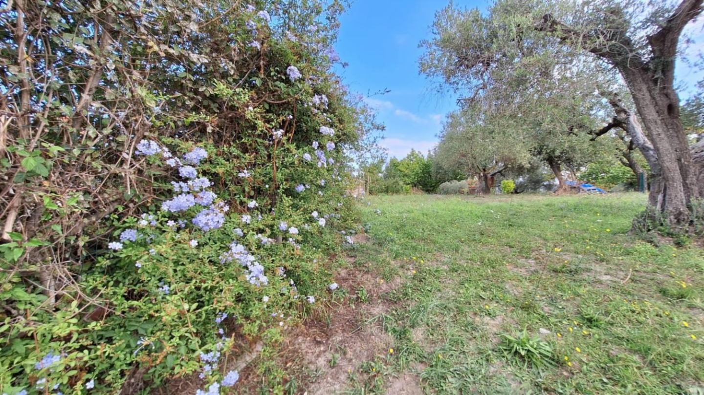 immagine annuncio 1 di 10