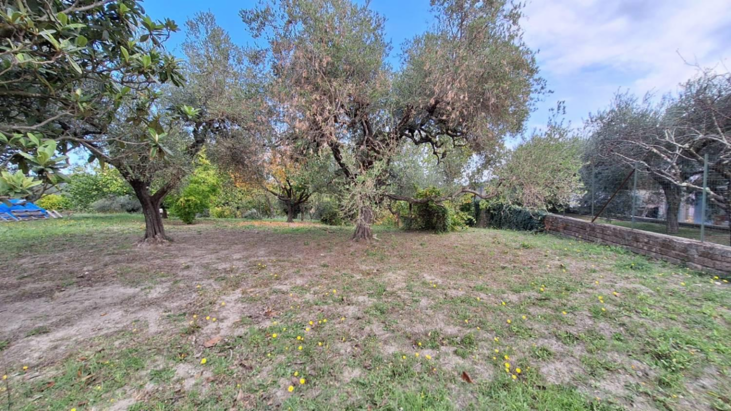 immagine annuncio 4 di 10