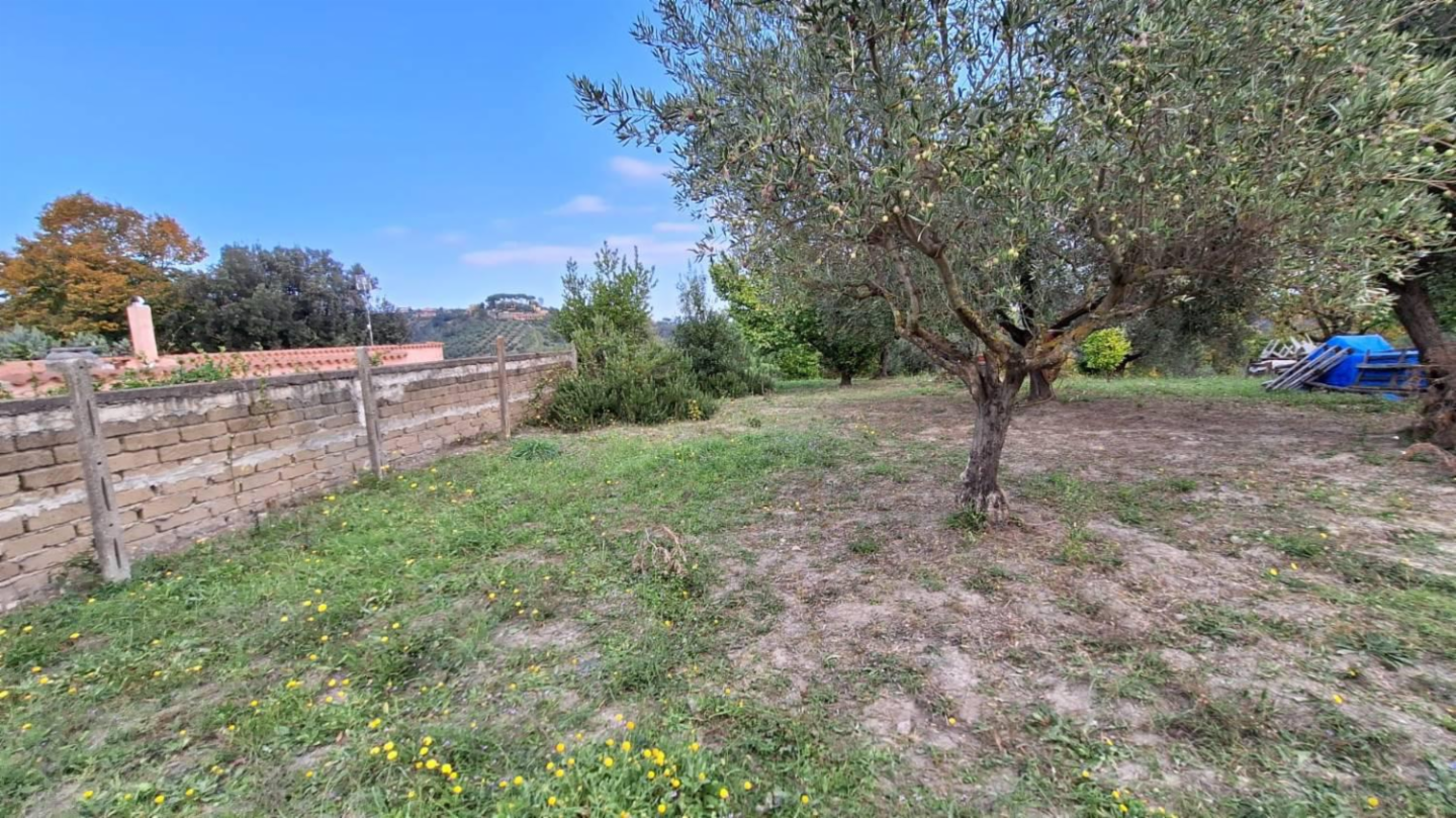 immagine annuncio 6 di 10