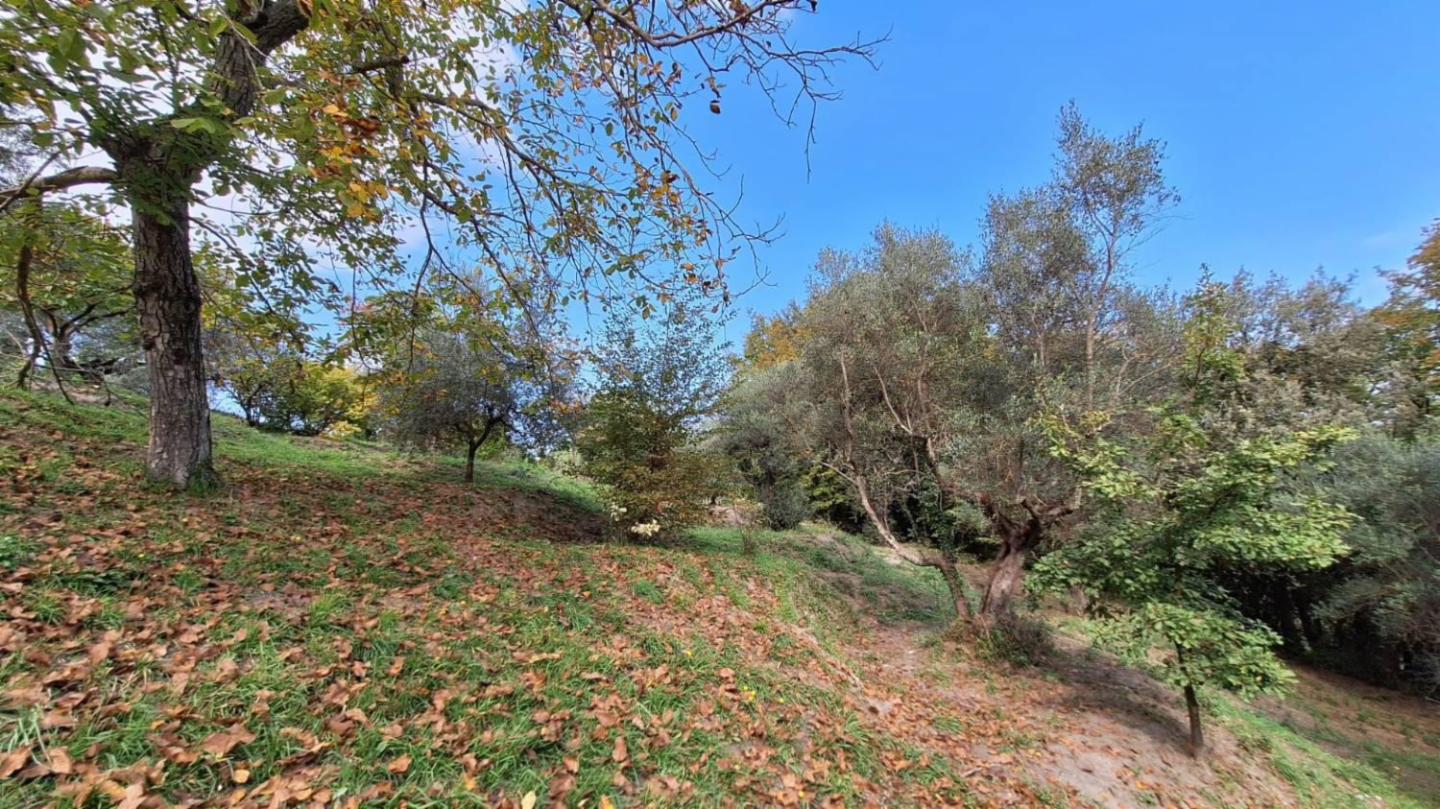 immagine annuncio 7 di 10