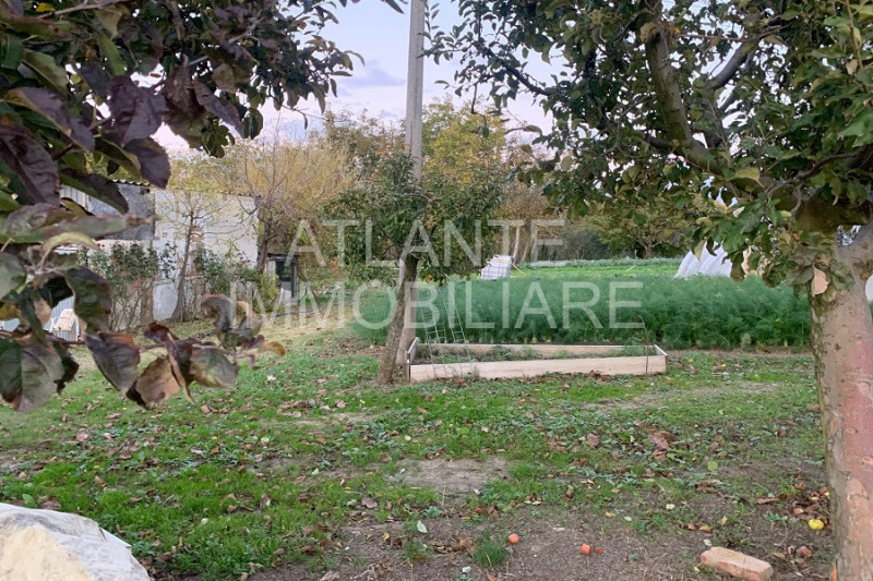 immagine annuncio 3 di 8