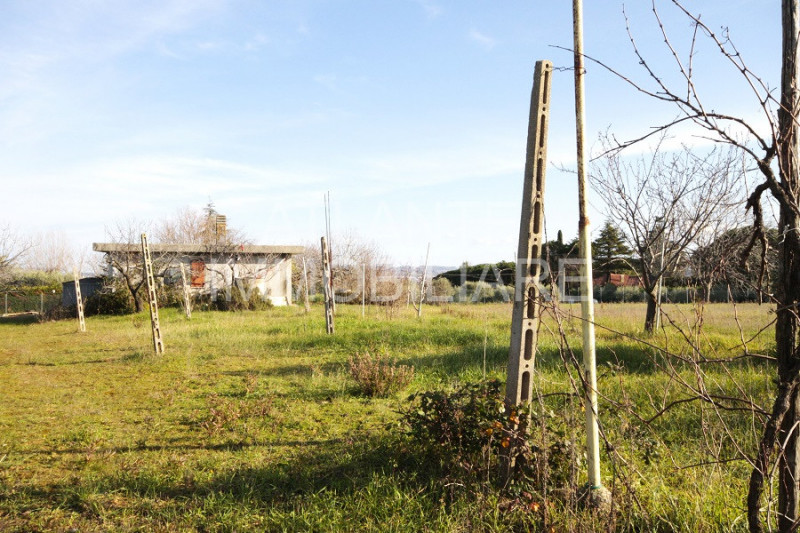 immagine annuncio 4 di 8