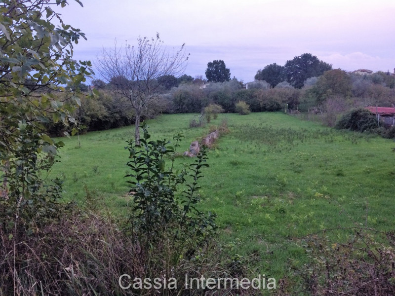 terreno edificabile in vendita a Castel Sant'Elia