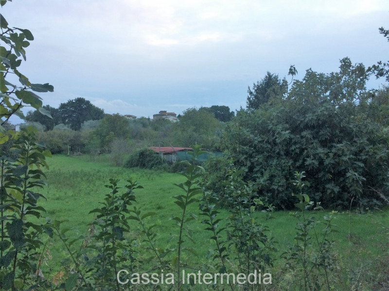 immagine annuncio 2 di 6