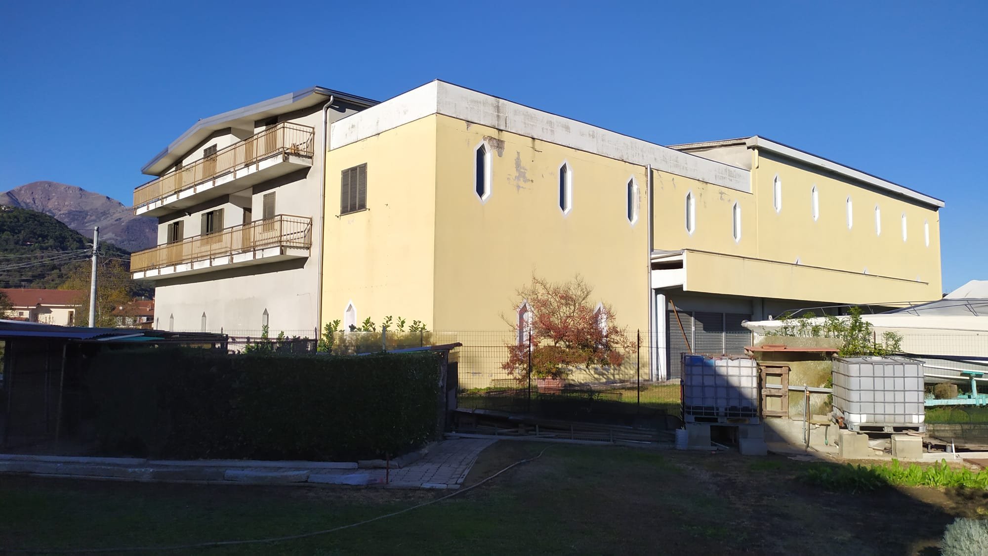immagine annuncio 2 di 10