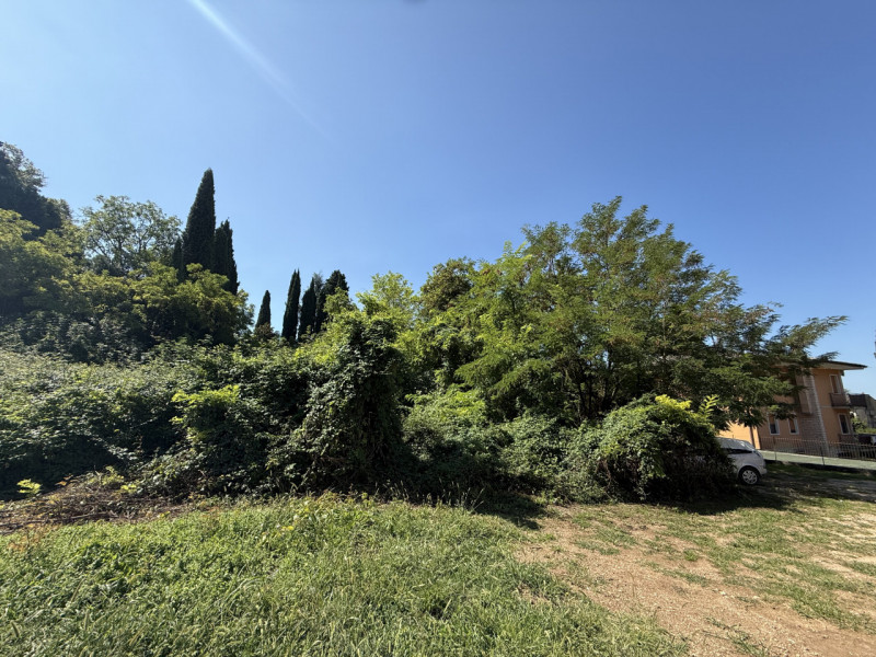 immagine annuncio 1 di 6