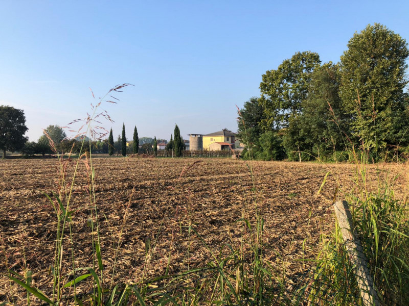 immagine annuncio 5 di 7