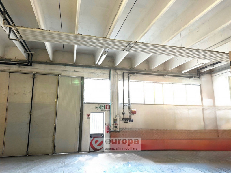 immagine annuncio 4 di 7