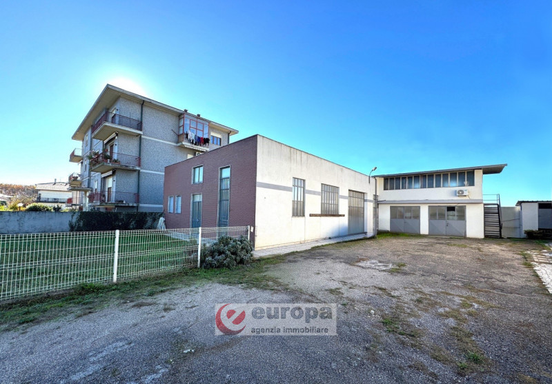 immagine annuncio 4 di 10