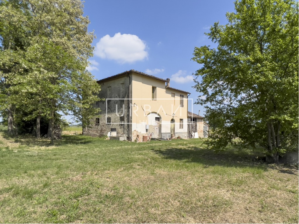 immagine annuncio 3 di 8