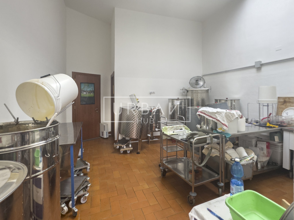 immagine annuncio 2 di 8