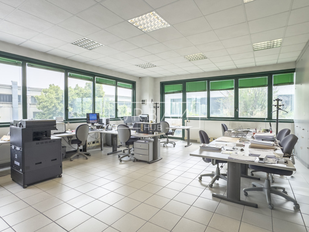 immagine annuncio 4 di 10