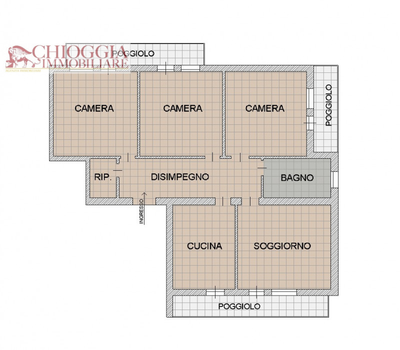 immagine annuncio 3 di 7