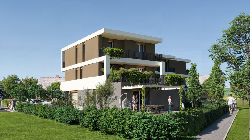 immagine annuncio 4 di 10