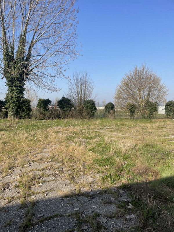 immagine annuncio 0 di 10