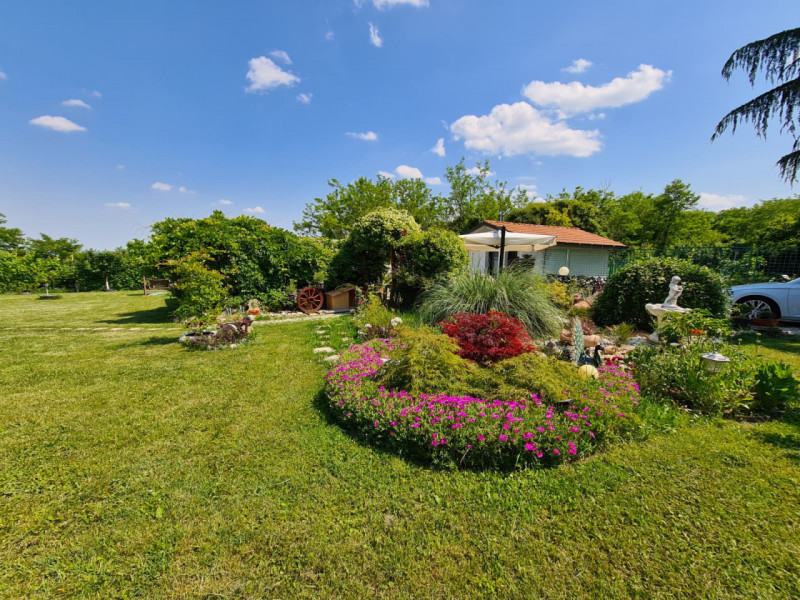 immagine annuncio 2 di 10