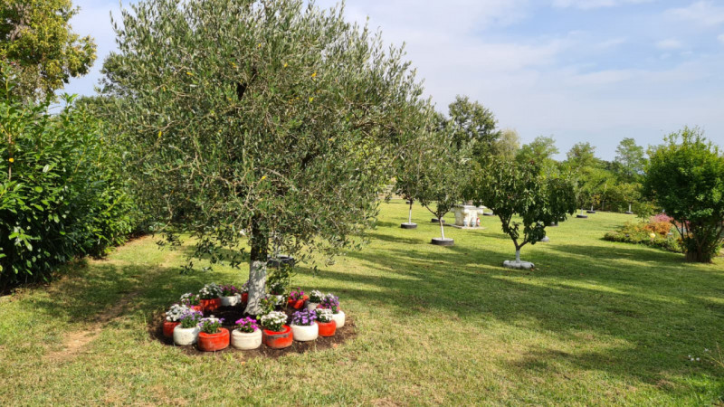 immagine annuncio 4 di 10