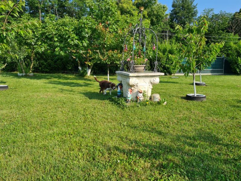 immagine annuncio 3 di 10