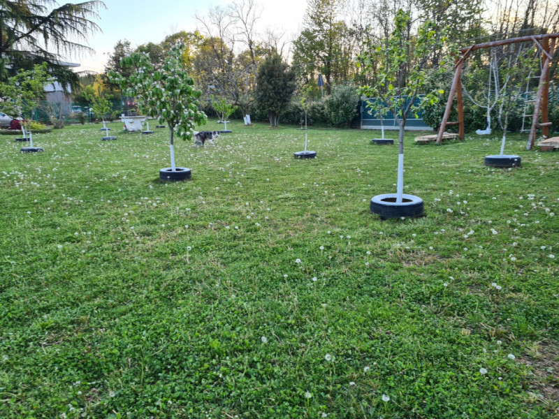 immagine annuncio 7 di 10