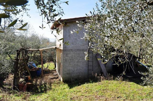 immagine annuncio 2 di 4