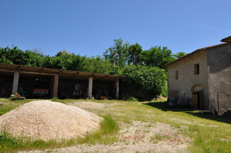 immagine annuncio 1 di 8