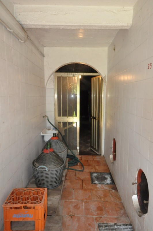 immagine annuncio 3 di 8